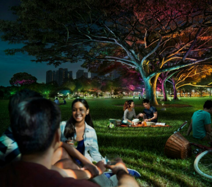 飛利浦炤(zhao)明髮(fa)佈2016年報(bao),可持續(xu)髮展業務(wu)銷售(shou)佔(zhan)